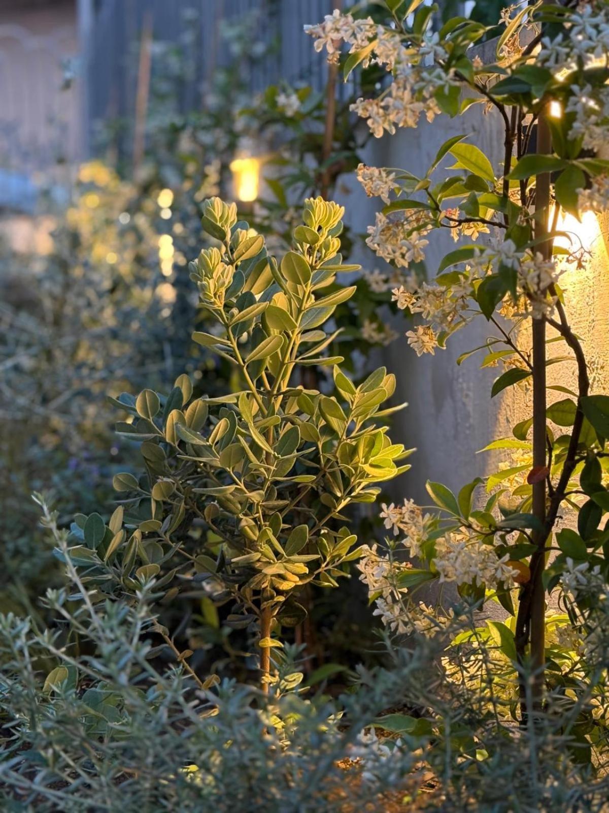 Villa Vera 萨莱诺 外观 照片