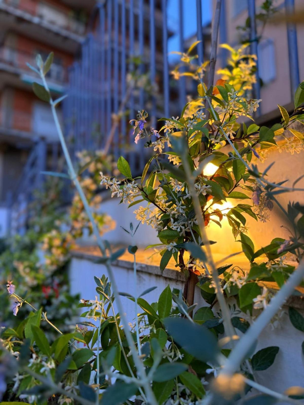 Villa Vera 萨莱诺 外观 照片